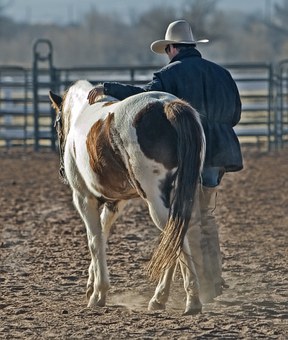 Horse Rescue Registry