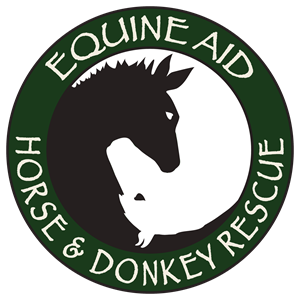 Equine Aid Horse And Donkey Rescue