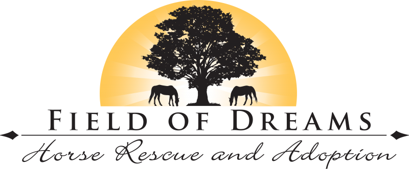 Field of Dreams Horse Rescue & Adoption