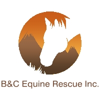 B&C Equine Rescue Inc